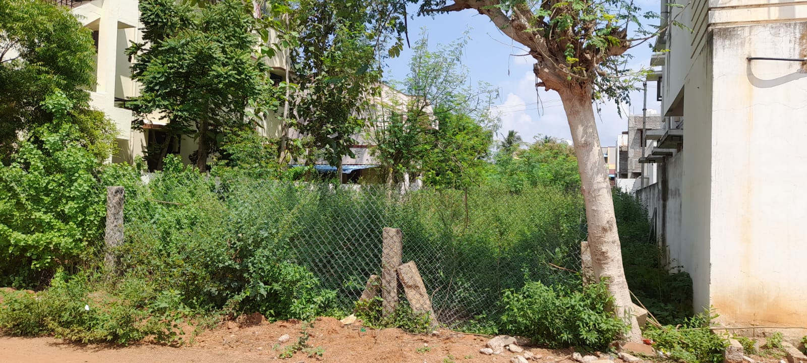 Residential Plot / Land