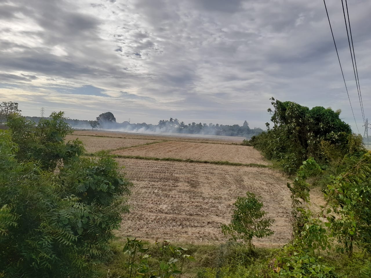 Agricultural Land