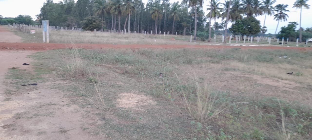 Residential Plot / Land