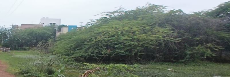 Residential Plot / Land