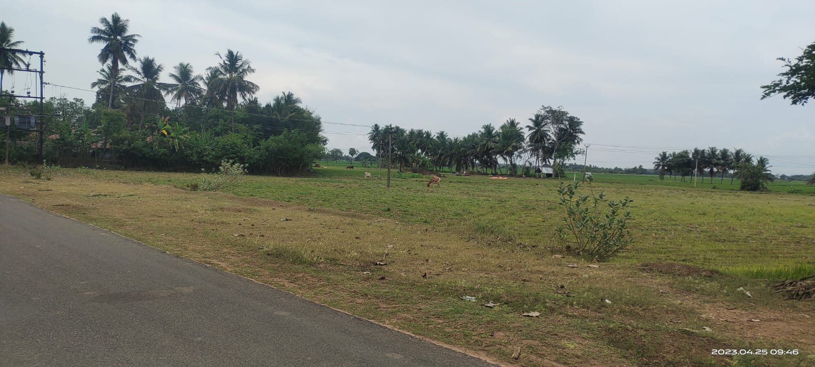 Agricultural Land