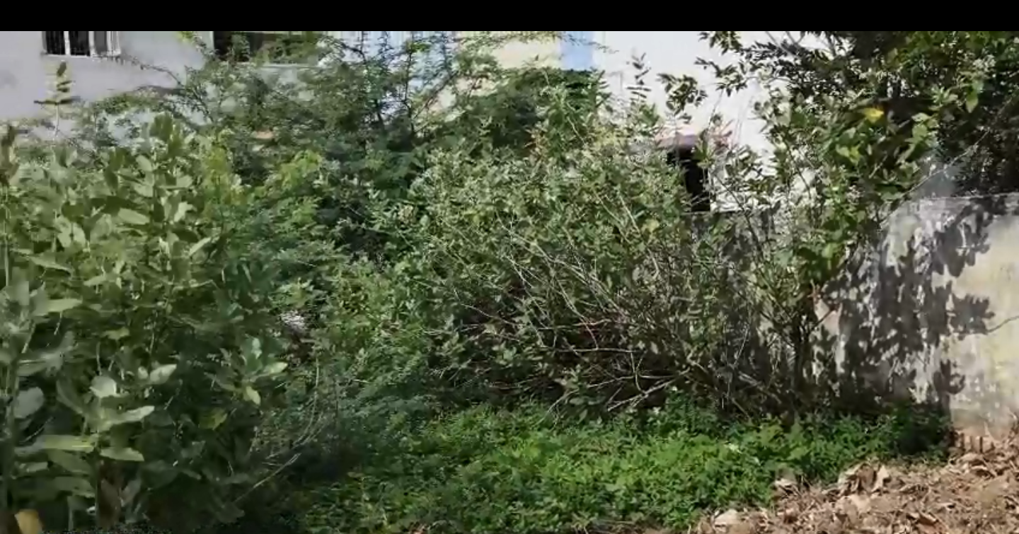Residential Plot / Land